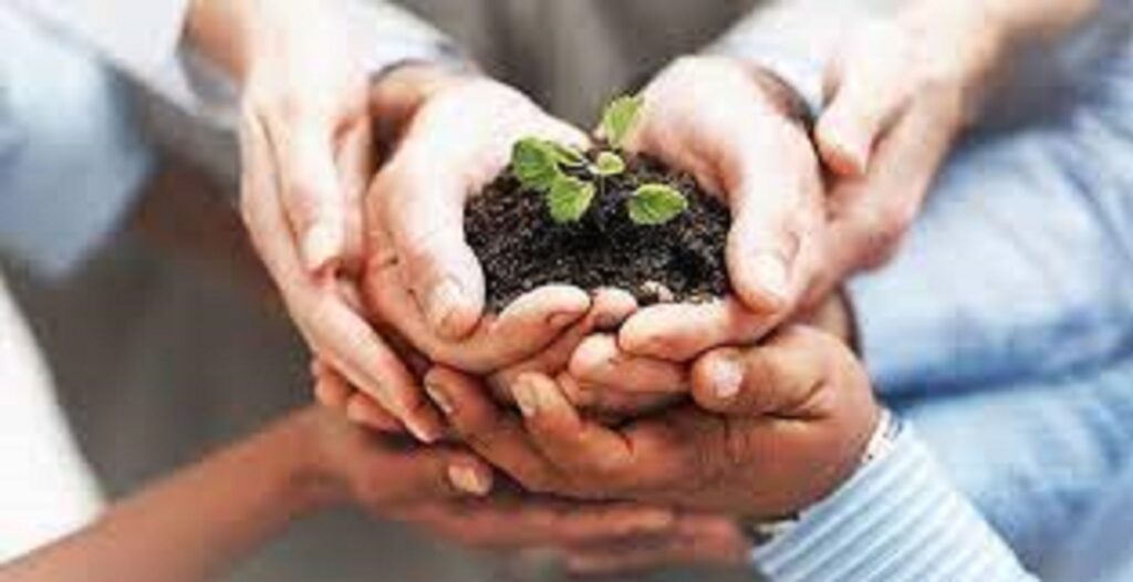 Producer Company Registration